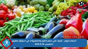 أسعار اليوم.. تعرف على سعر الخيار والخضروات في أسواق مطروح الخميس 28-8-2025